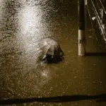 Ravenna, prorogati al 30 giugno i contributi per il fondo alluvione