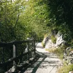 Romagna in fiore parte da Fontanelice con Davide Ambrogio