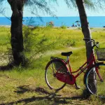 Ravenna, apre il Welcome Hub per bici a Marina