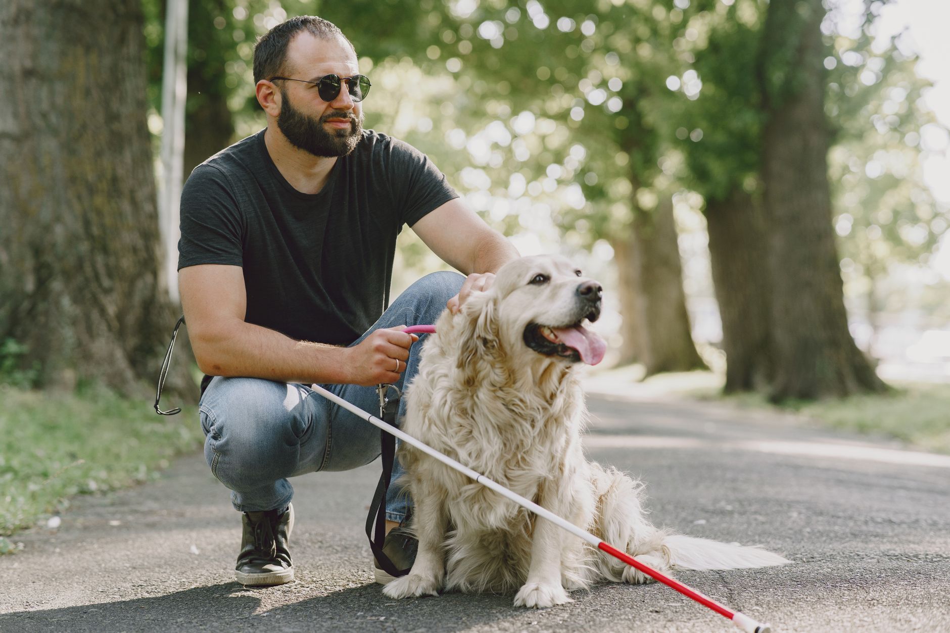 Ravenna, cena in via Mazzini per Linea Rosa e cane guida