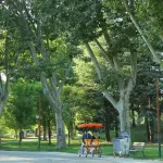 Ravenna, oasi climatiche contro le ondate di calore