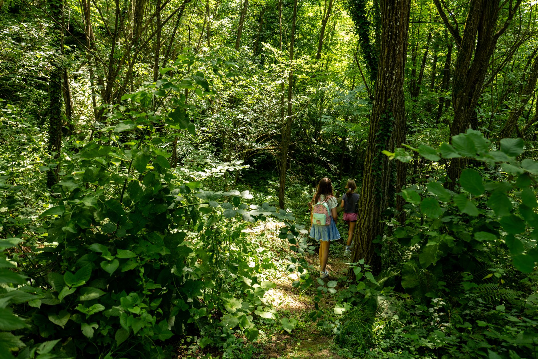 Emilia-Romagna, torna “ViVi il Verde”: domande entro il 31 agosto