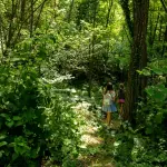 Emilia-Romagna, torna “ViVi il Verde”: domande entro il 31 agosto