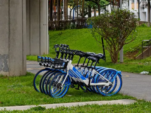 Ravenna, bici a 3 euro al giorno al Welcome Hub di Marina