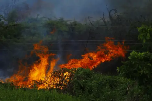 Emilia-Romagna, rischio incendi alto: allerta gialla fino all’11 ottobre