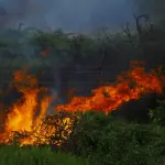 Emilia-Romagna, rischio incendi alto: allerta gialla fino all’11 ottobre