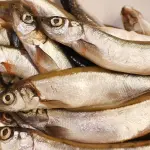 Ravenna Capitale del Mare 2026, il pesce azzurro entra nelle mense scolastiche